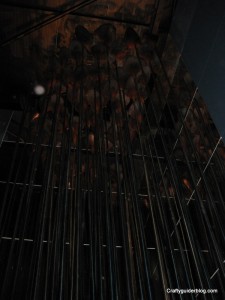 IMG_4086