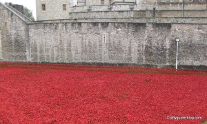 poppies at tower of london