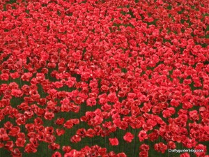 poppies tower of london