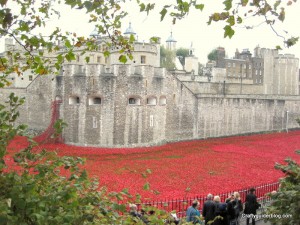 tower of london poppies